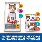 Hill’s Young Adult Science Plan Sterilised Peru Saqueta em Molho para gatos, , large image number null